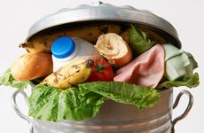 Waste-Converting Bioplastics