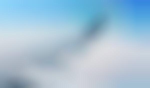 Flight-Ordering Apps
