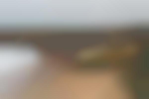 AR Car-Customizing Lenses