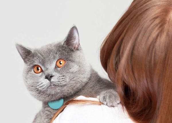 70 Presents for Cat Lovers
