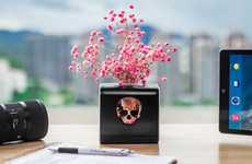 Desktop USB Skull Planters