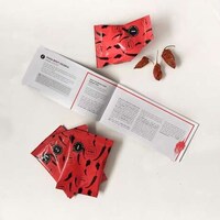 Chilli-Centric Advent Calendars Image 5