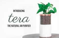 Air-Purifying Desktop Planters