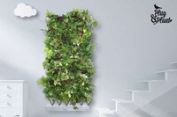 Modular Wall-Mounted Gardens Image 4