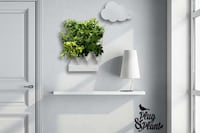 Modular Wall-Mounted Gardens Image 7