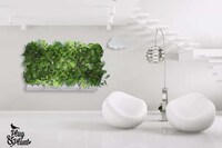 Modular Wall-Mounted Gardens Image 8