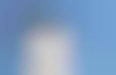 Precision Micro-Adapting Pillows