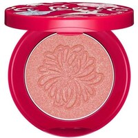 Shimmery Cat-Shaped Makeup Image 8
