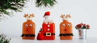 Festive Juice Packaging Image 3