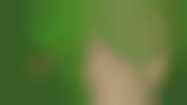 State-Wide Green Habitats