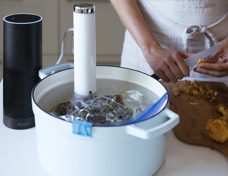 Voice-Controlled Sous Vide Tools