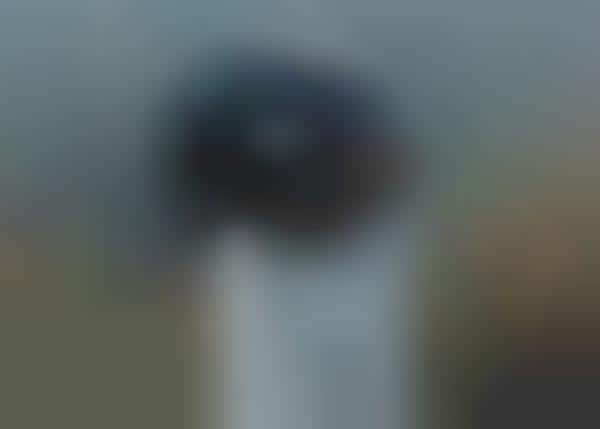 360-Degree Smartphone Lens
