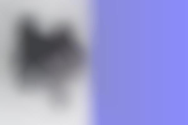 Personalized Pet Subscriptions
