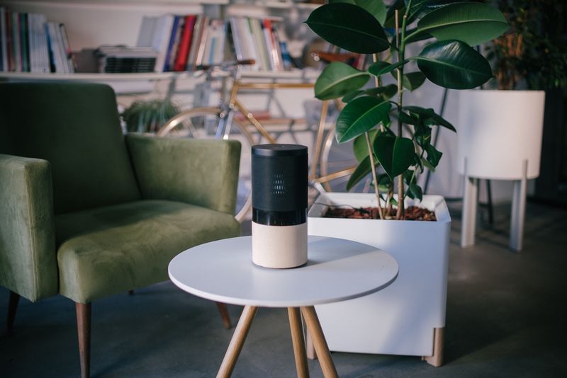Naturalistic Frequency Speakers