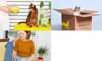 Homemade Cat Food Subscriptions Image 3