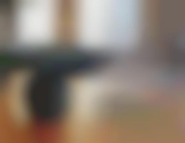 Voice Assistant Smart Glasses