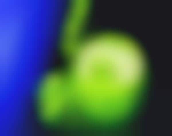 Apple-Based Dog Accessories