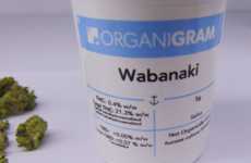 Award-Winning Sativa Strains