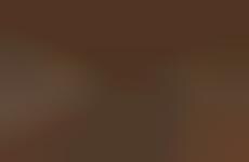 Cozy Deli Department Re-Designs