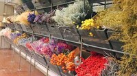 Artisanal Dried Flower Retailers Image 2