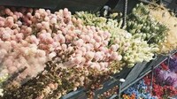 Artisanal Dried Flower Retailers Image 5