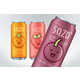 Conceptual Fruit Juice Cans Image 4