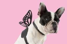 Stylist-Created Pet Accessories