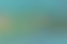 City-Specific Tea Packages