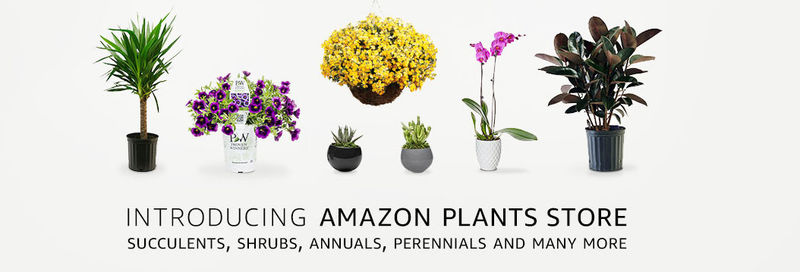 eCommerce Plant Shops
