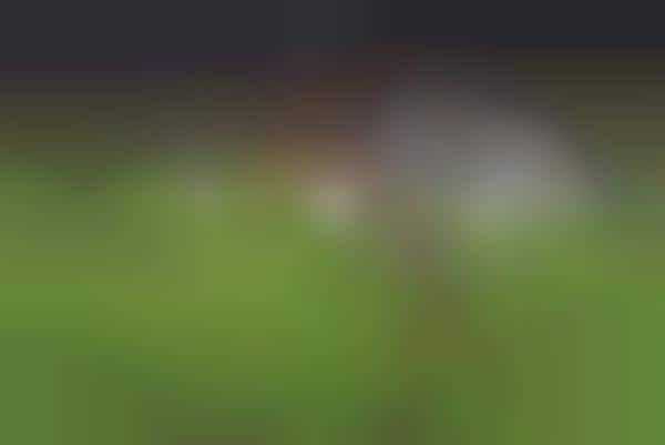 AI Sports Analyzing Tools