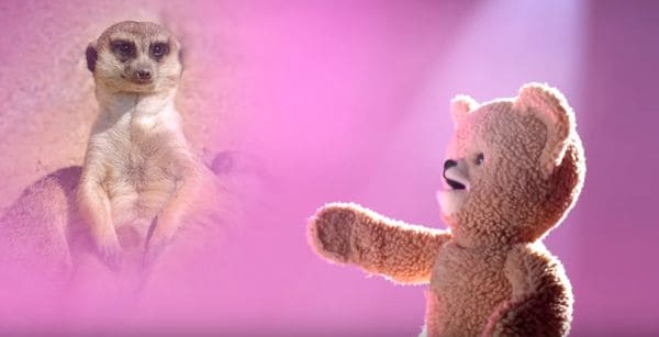 Top 100 Humor Trends in 2017