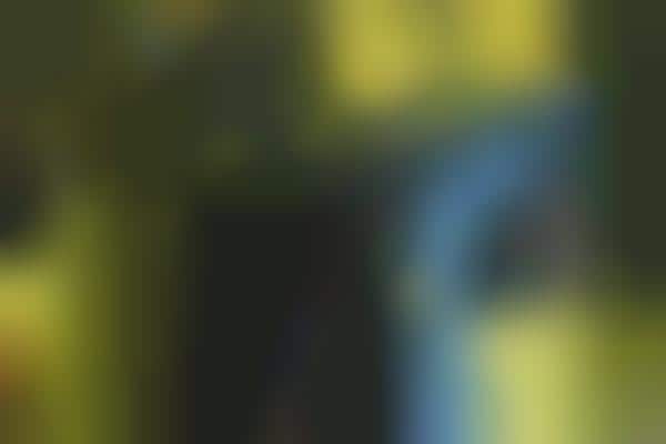 Gamified Play Structures