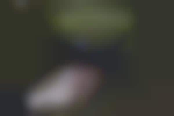 Transforming Autonomous Photography Drones