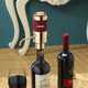 Dual-Purpose Wine Dispensers Image 2