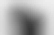 Dark Viking Scotches