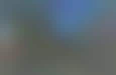 Flamboyant Recycled Wood Homes