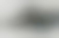 Graceful Underwater Drones