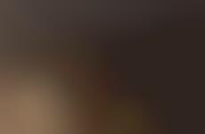 Metaphorical Multigenerational Homes