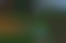 Modernist South African Homes