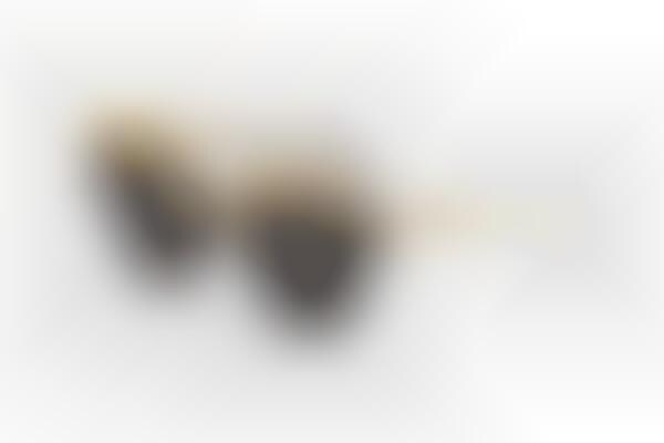 Gold-Accented Designer Shades