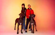 Eclipse-Inspired Apparel Lines