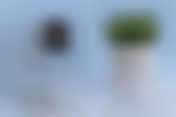 Detachable Indoor Cameras