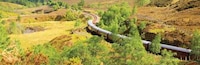 Luxury Steam Engine Tours Image 2