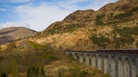 Luxury Steam Engine Tours Image 5