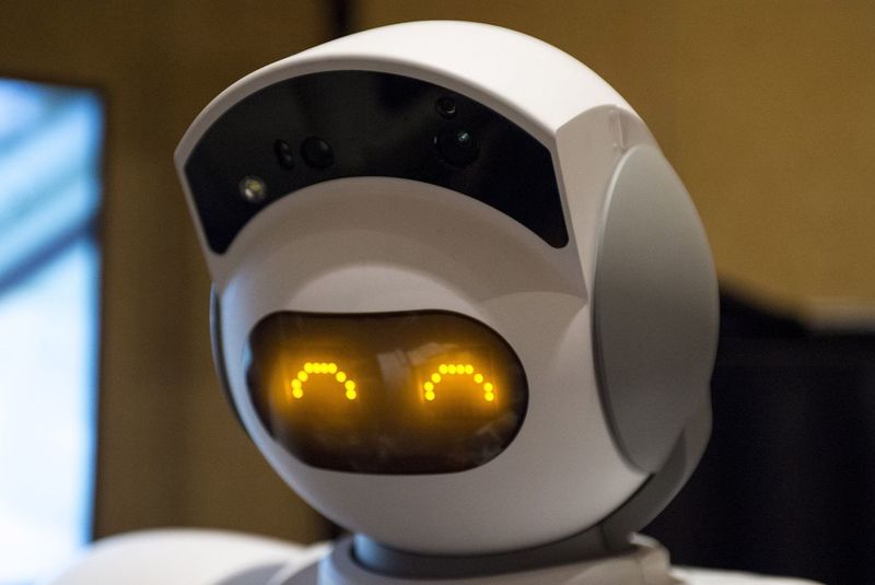 Adaptable In-Home Robots