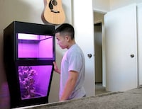 Self-Watering Indoor Greenhouses Image 3