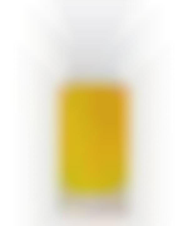 Prickly Pear Hair Serums