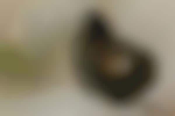 Visible Component Headphones