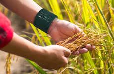 Note-Displaying Bracelets