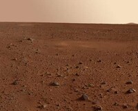 Martian-Grown Hops Image 2